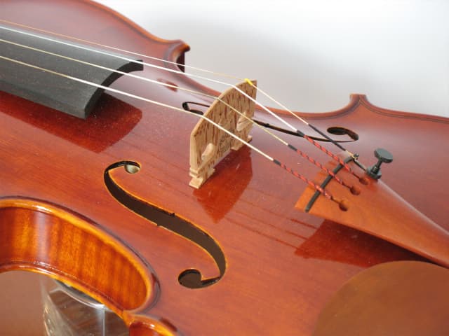 Violin close-up